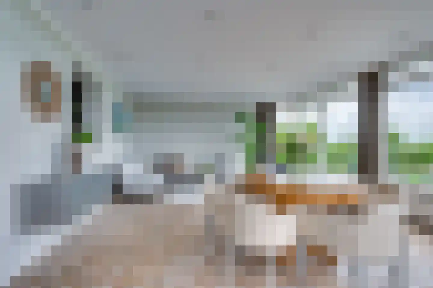 De Soom 17 Grubbenvorst thumbnail 9