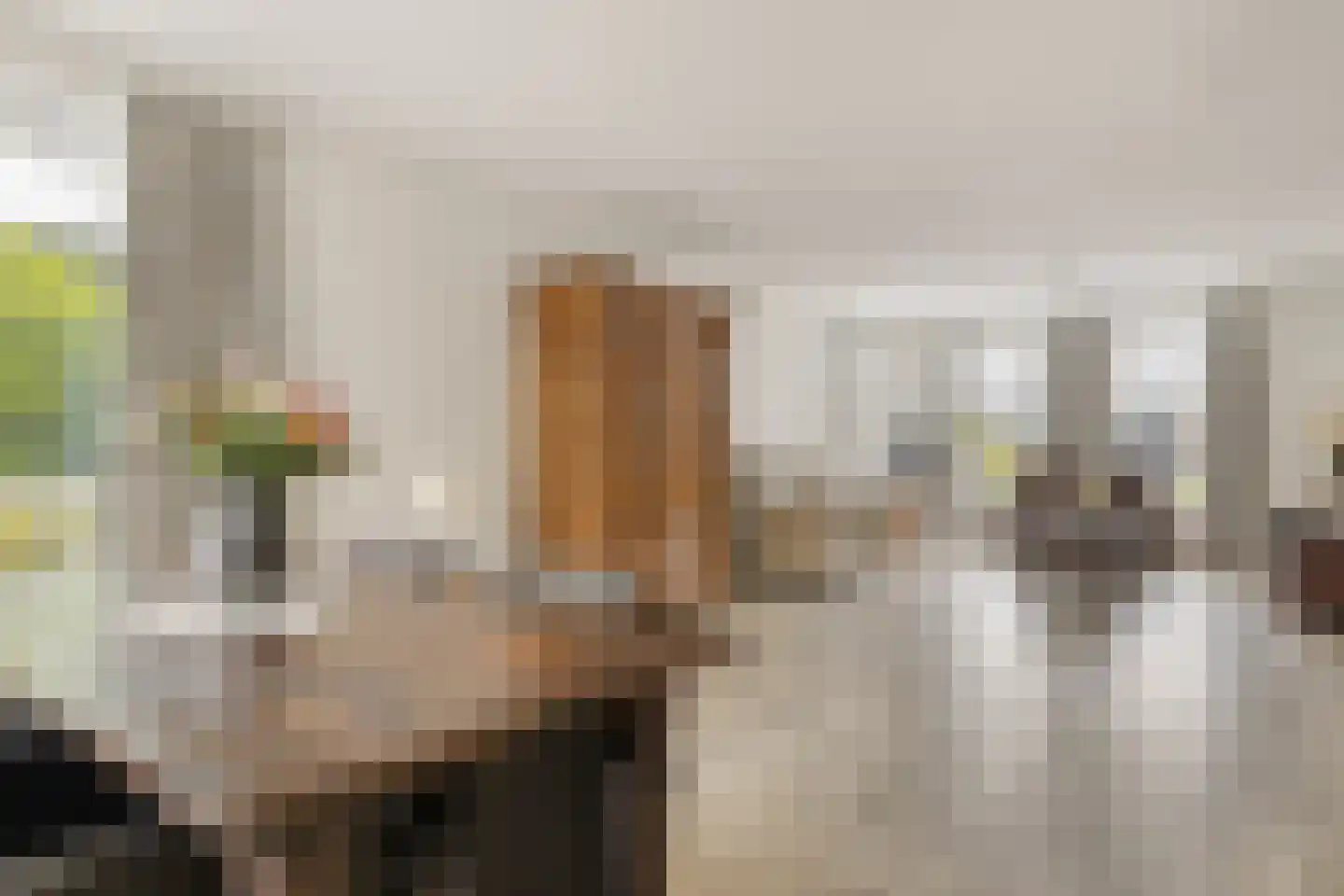 De Soom 2 a Grubbenvorst thumbnail 15