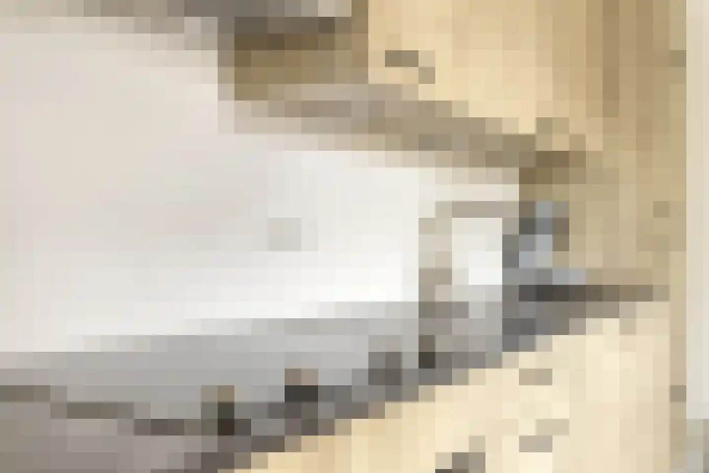 De Soom 2 a Grubbenvorst thumbnail 20