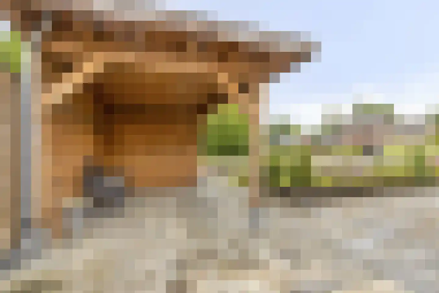 De Soom 2 a Grubbenvorst thumbnail 40