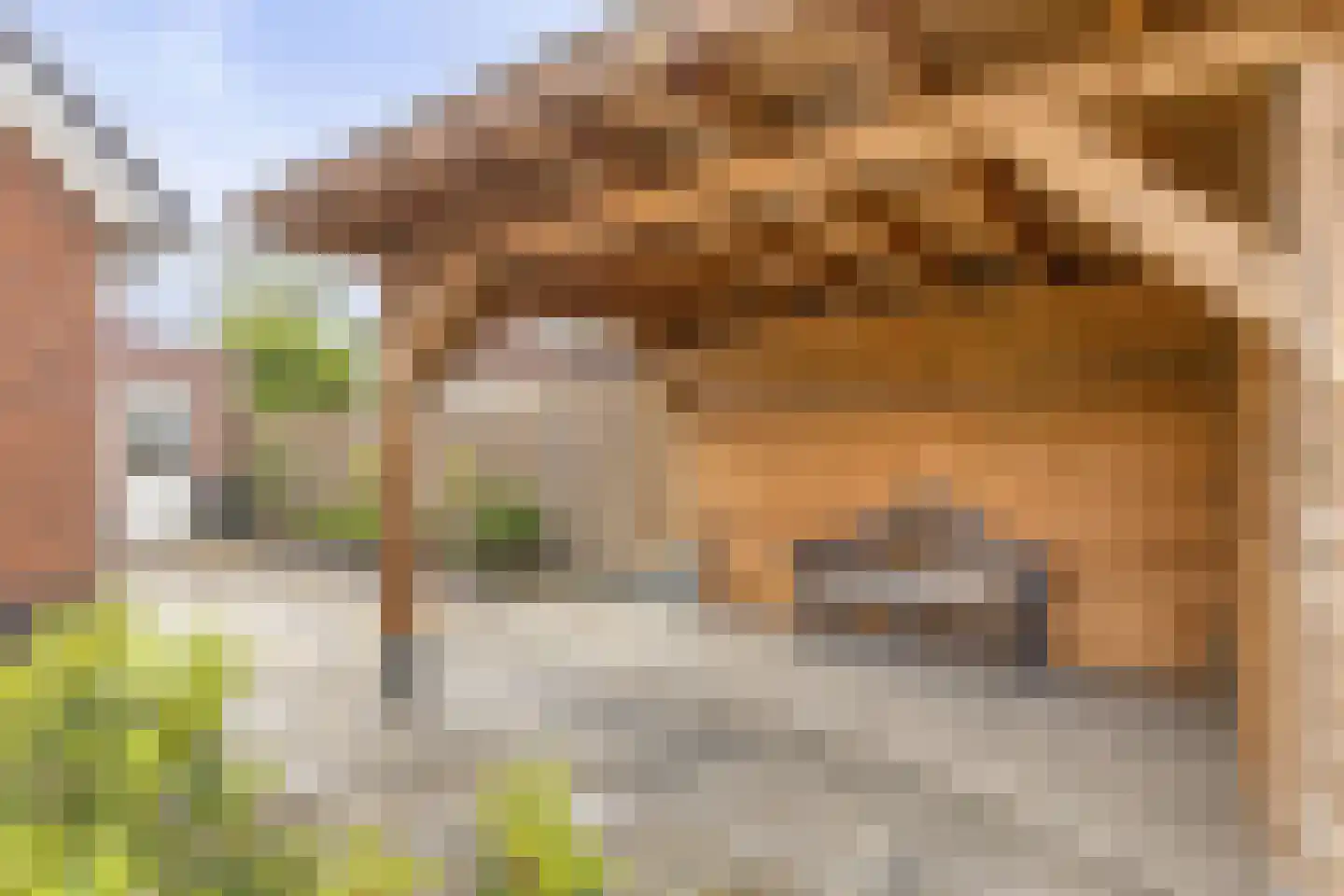 De Soom 2 a Grubbenvorst thumbnail 41