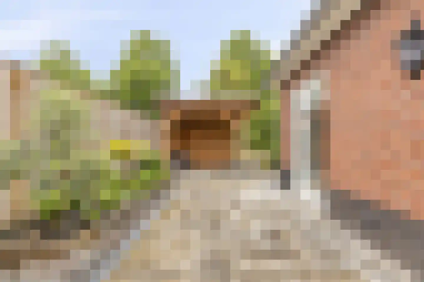 De Soom 2 a Grubbenvorst thumbnail 43