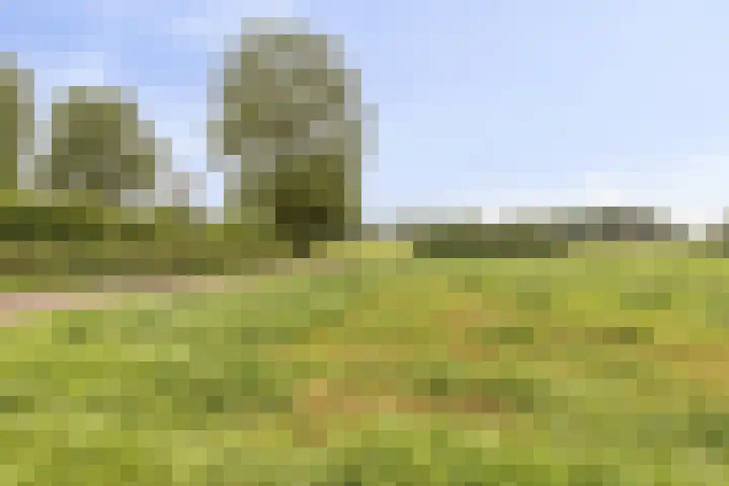 De Soom 2 a Grubbenvorst thumbnail 47