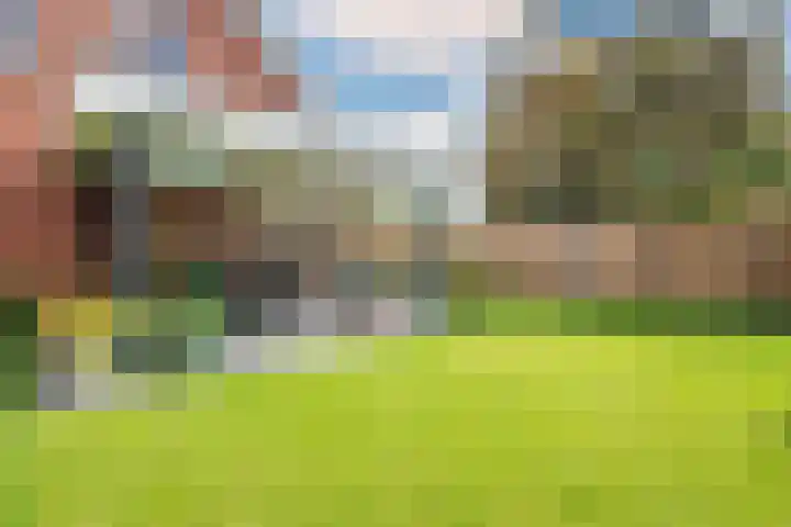 De Soom 2 c Grubbenvorst thumbnail 54
