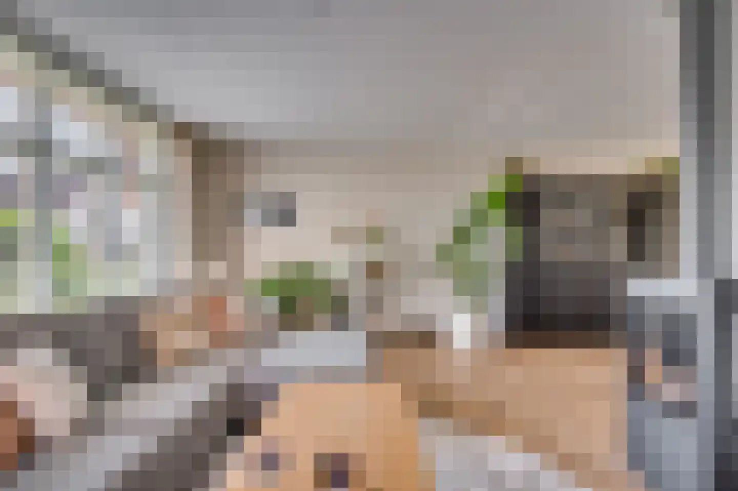 De Soom 22 Grubbenvorst thumbnail 13