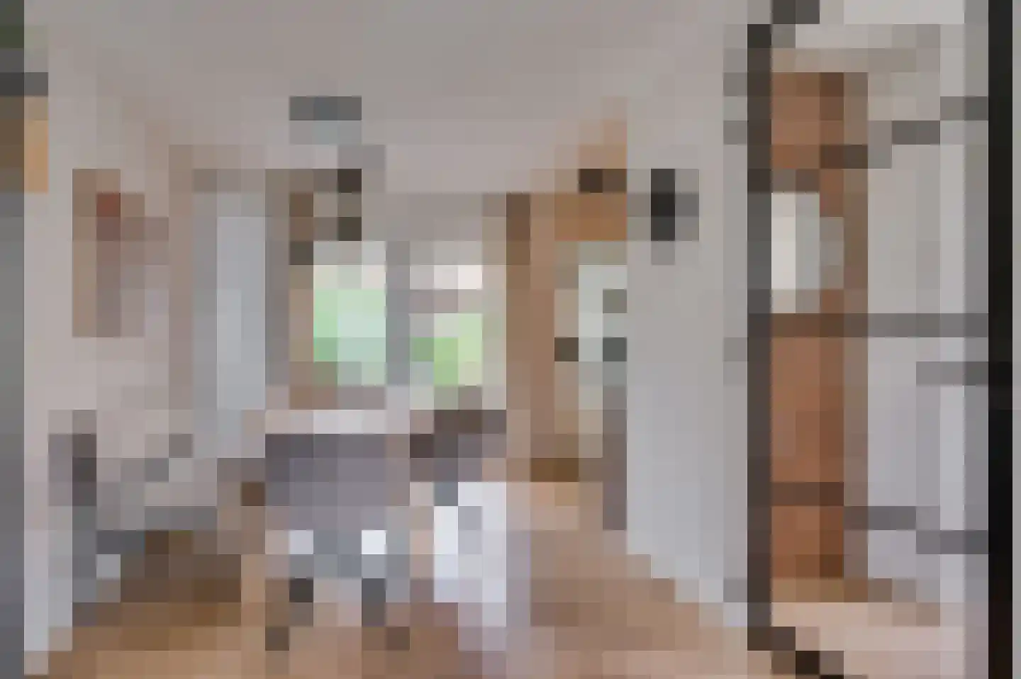 De Soom 22 Grubbenvorst thumbnail 16