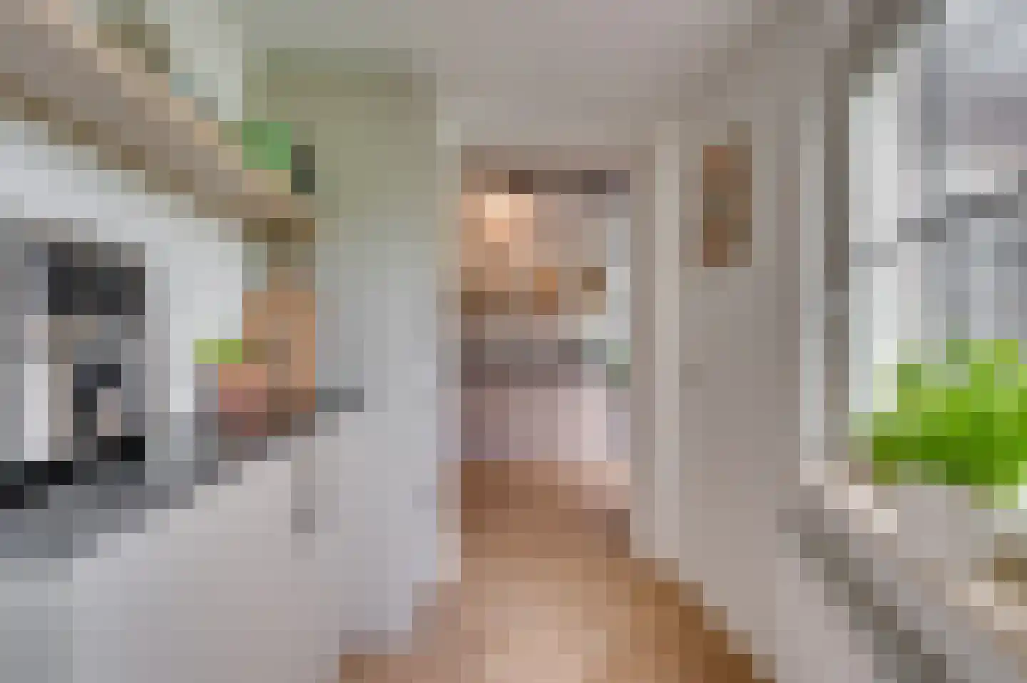 De Soom 22 Grubbenvorst thumbnail 23