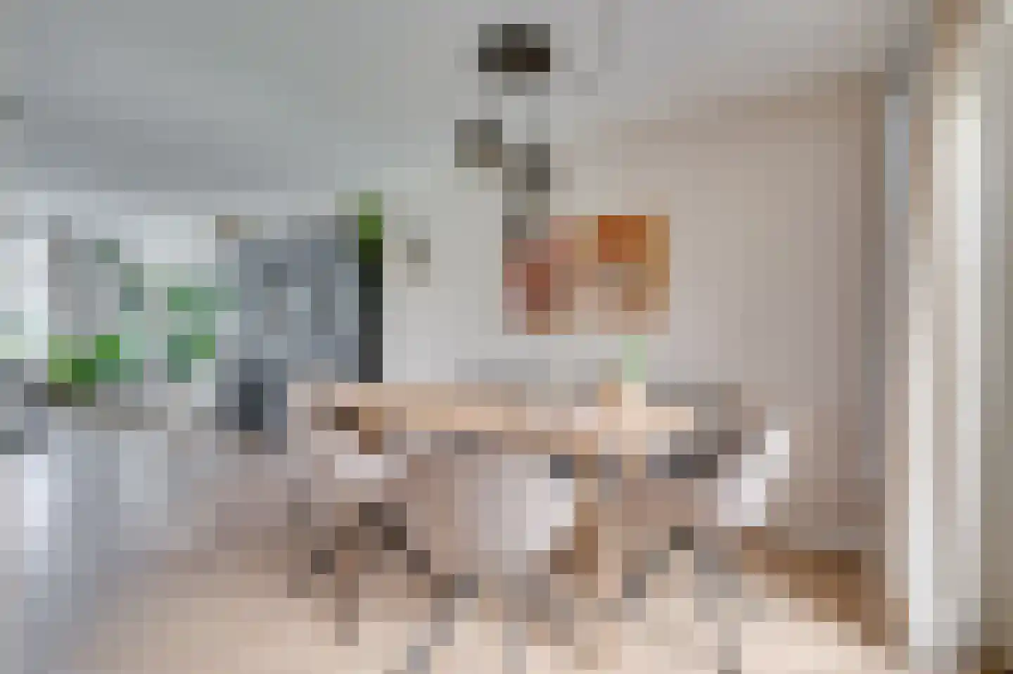 De Soom 22 Grubbenvorst thumbnail 25