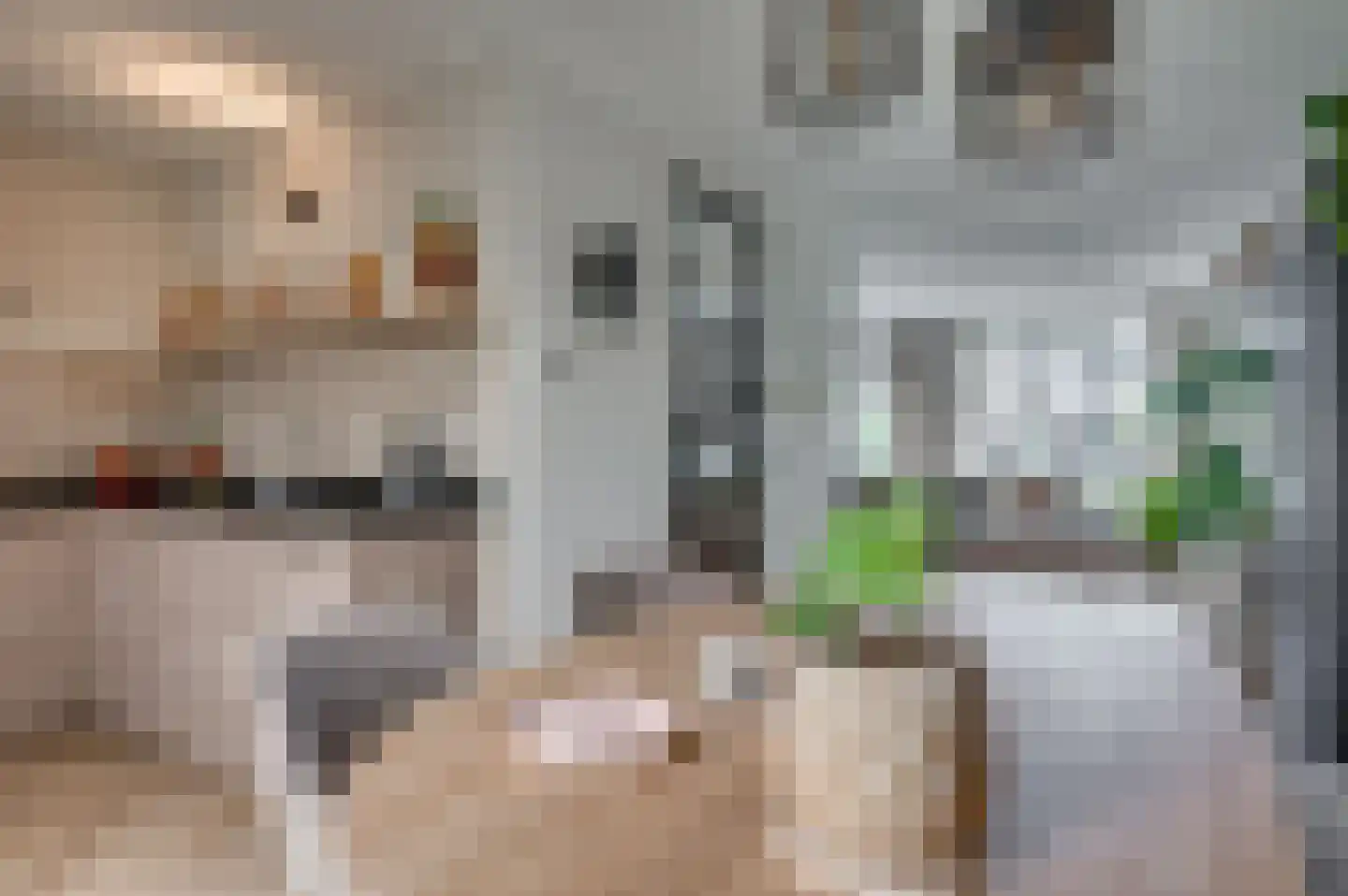 De Soom 22 Grubbenvorst thumbnail 26