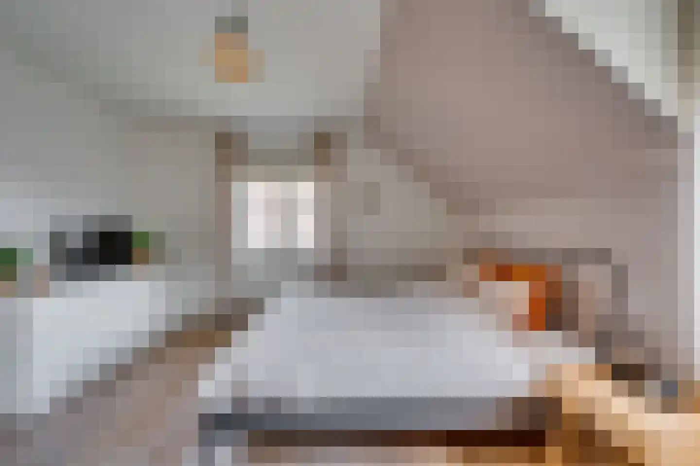 De Soom 22 Grubbenvorst thumbnail 32