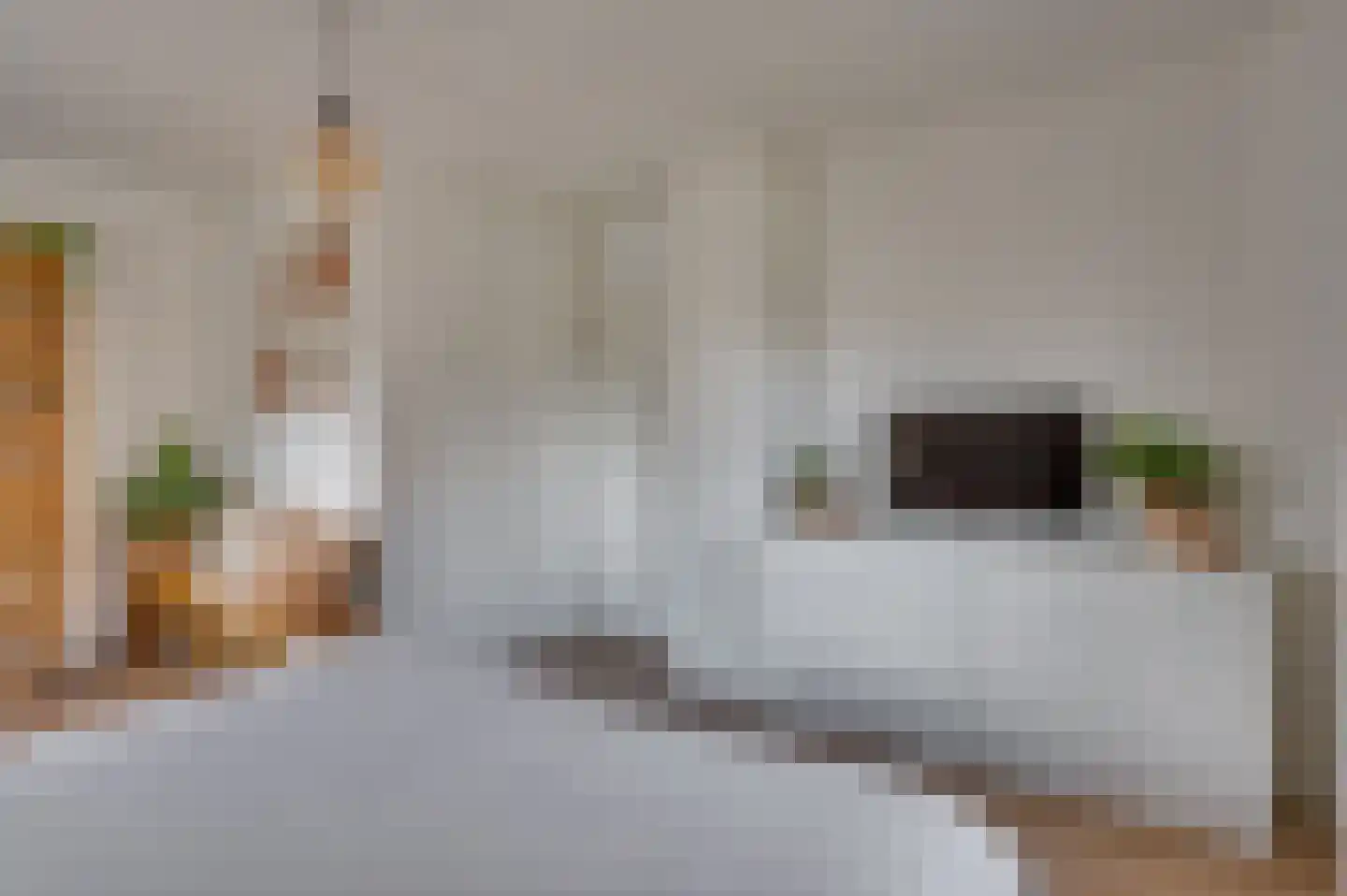 De Soom 22 Grubbenvorst thumbnail 35