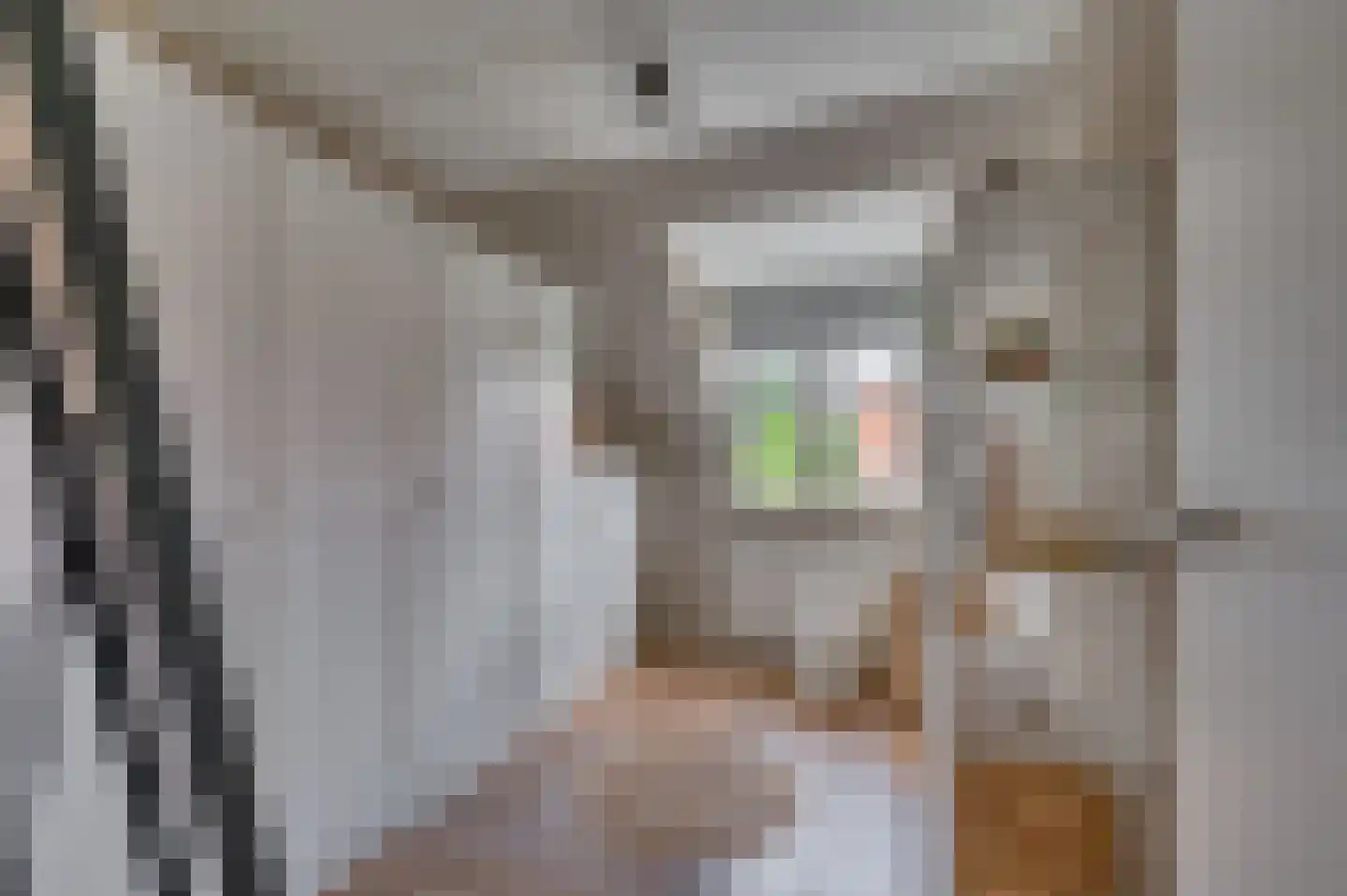 De Soom 22 Grubbenvorst thumbnail 36