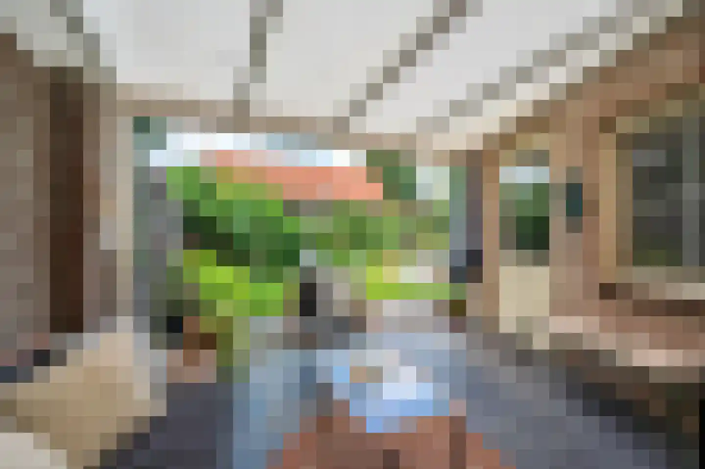 De Soom 22 Grubbenvorst thumbnail 53
