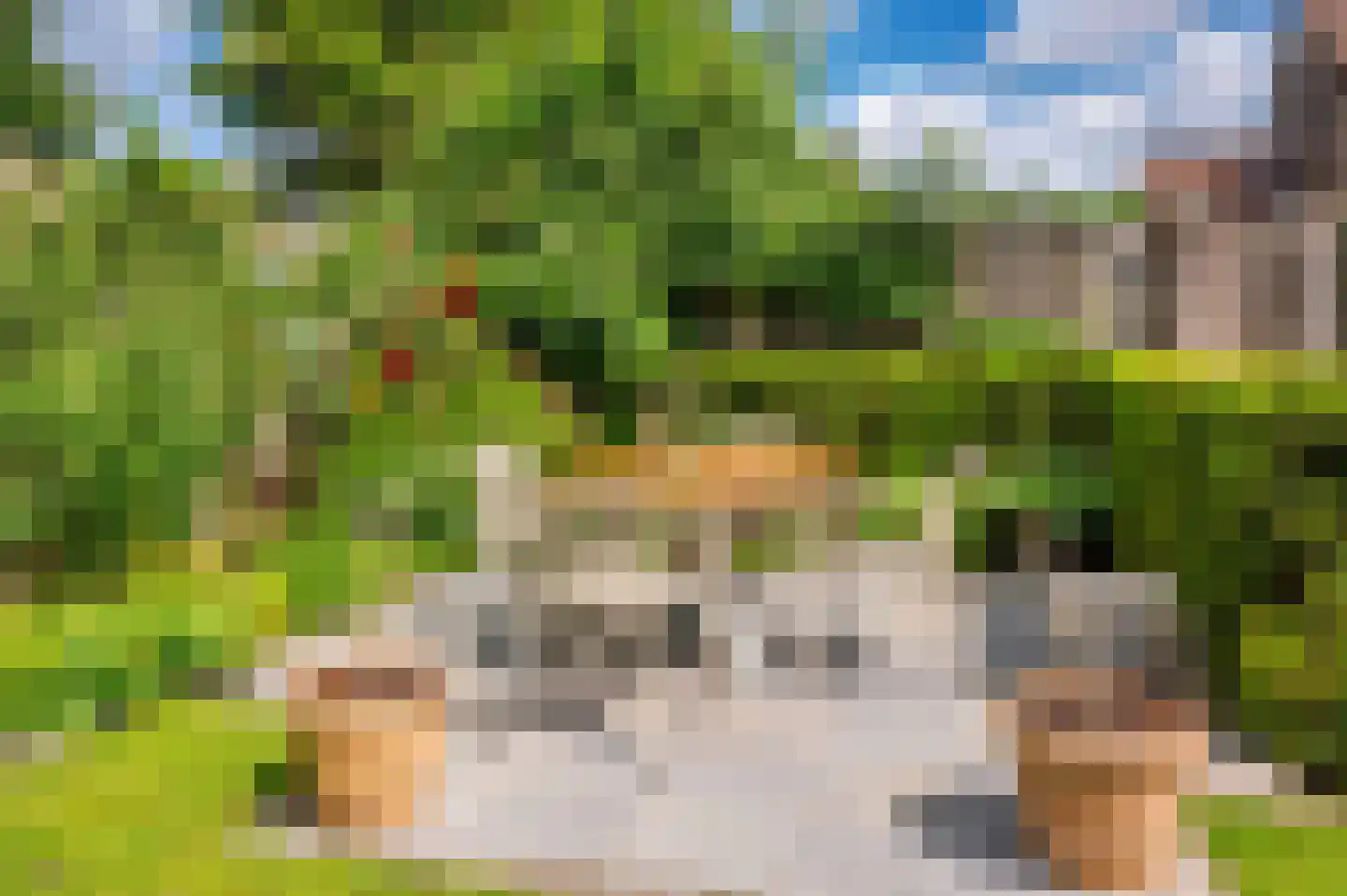 De Soom 22 Grubbenvorst thumbnail 56