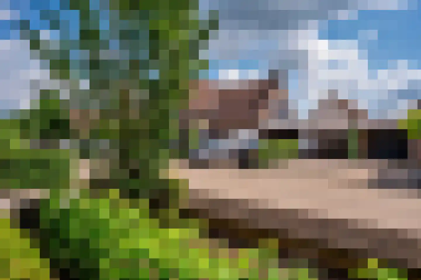 De Soom 22 Grubbenvorst thumbnail 62