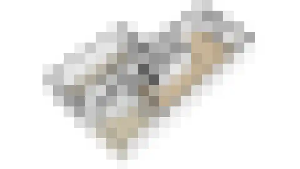 De Soom 22 Grubbenvorst thumbnail 66