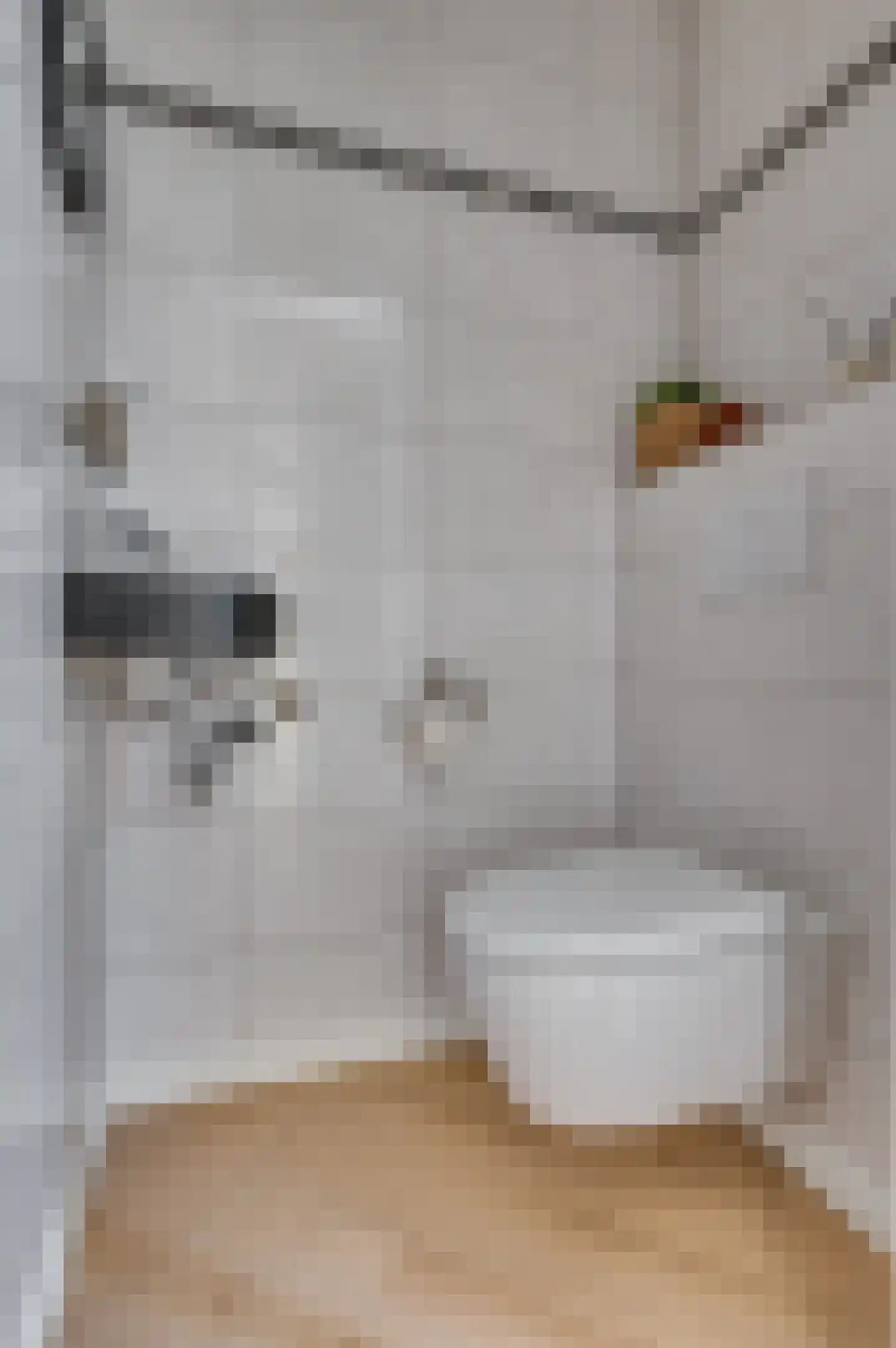 De Soom 22 Grubbenvorst thumbnail 8