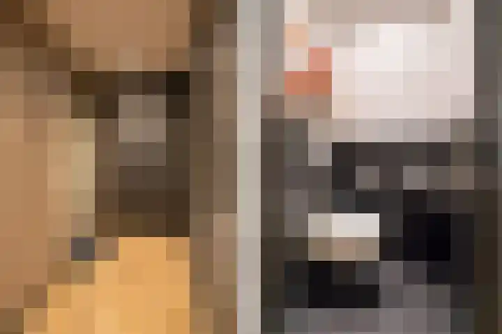 De Sorteur 8 Leerdam thumbnail 7