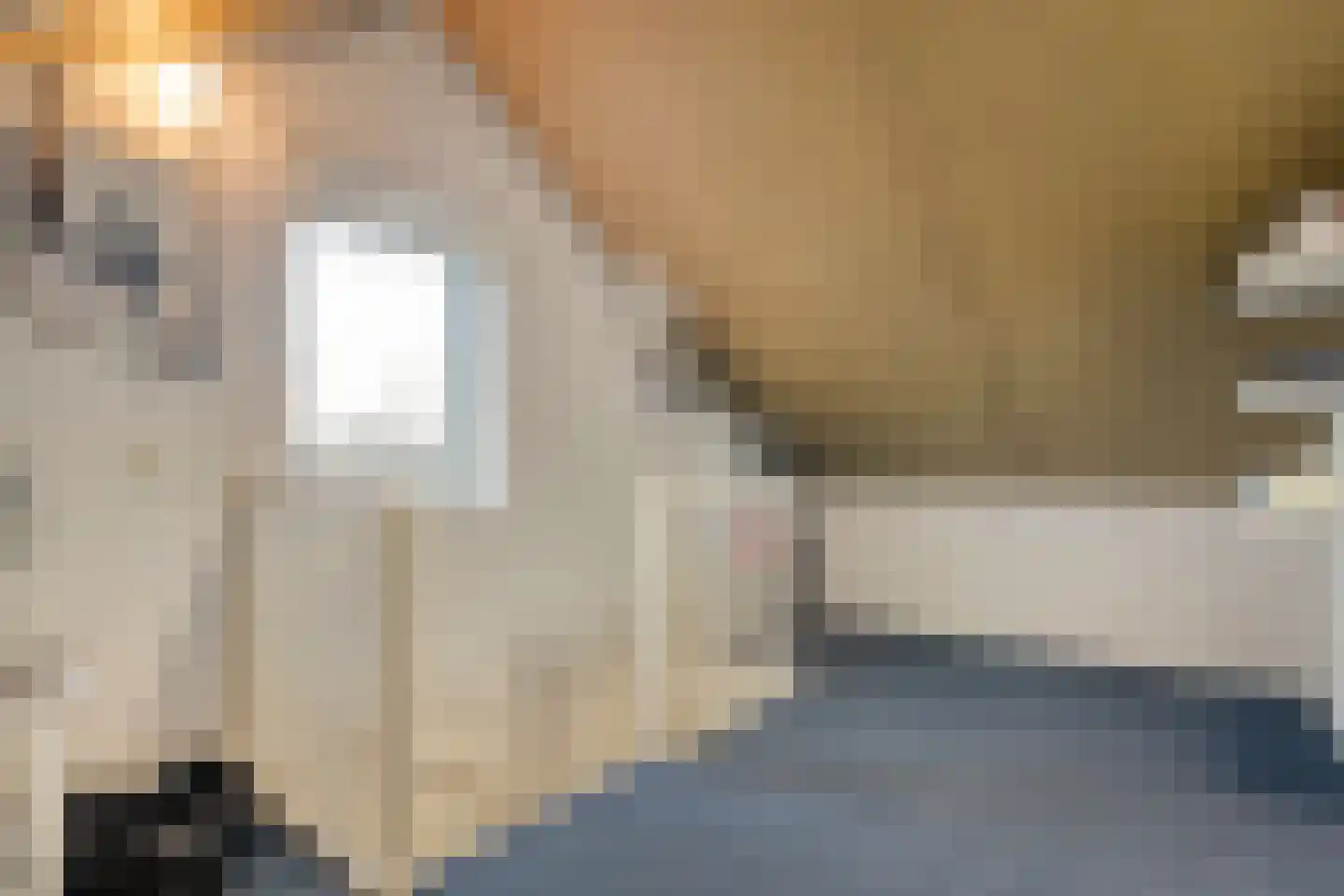 De Spa 27 Slagharen thumbnail 34