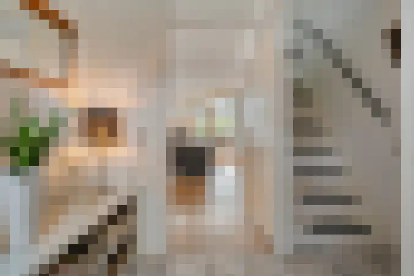 De Spa 27 Slagharen thumbnail 6