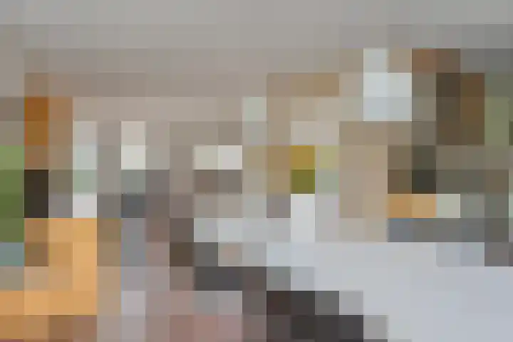 De Spa 38 Slagharen thumbnail 18