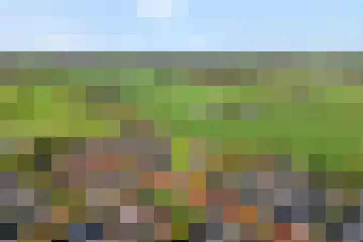 De Spa 38 Slagharen thumbnail 4