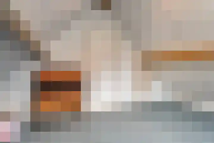 De Spa 38 Slagharen thumbnail 48