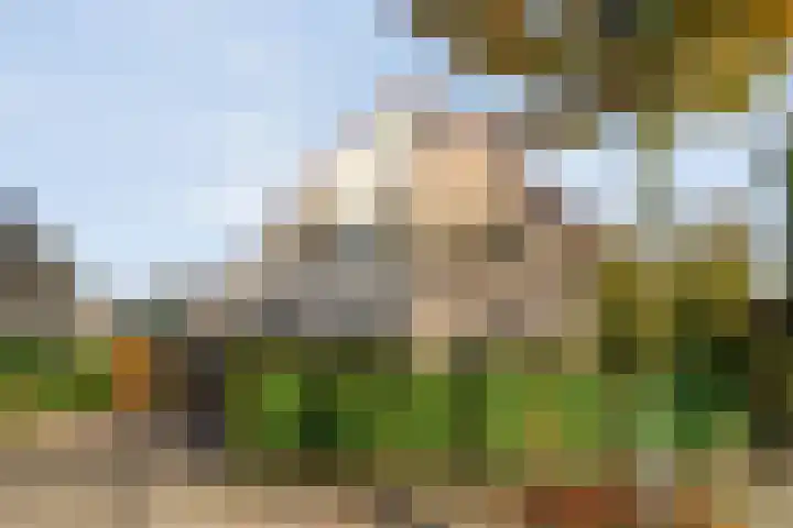 De Spa 38 Slagharen thumbnail 5