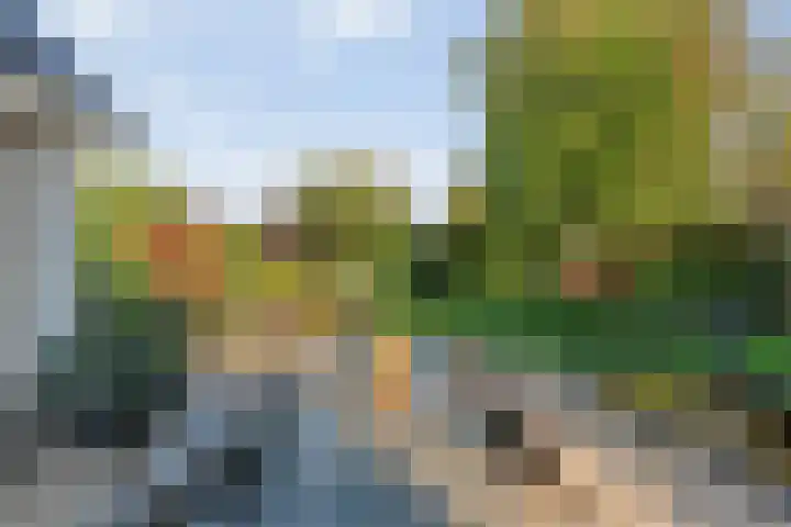 De Spa 38 Slagharen thumbnail 50