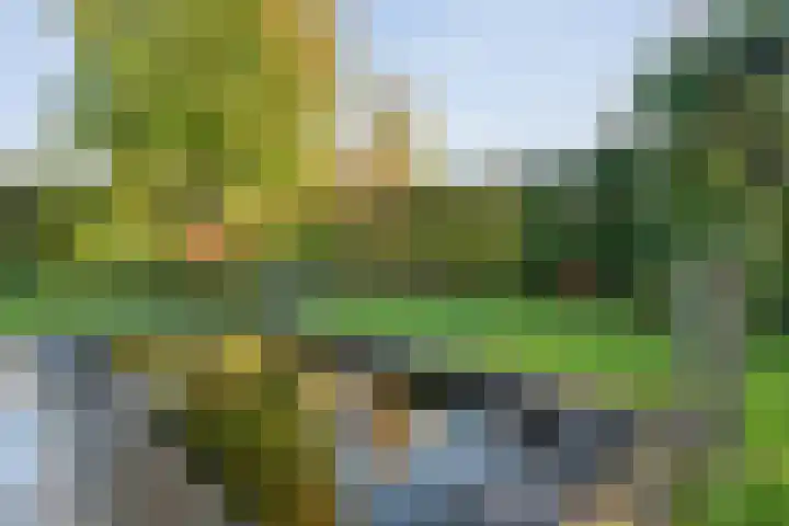 De Spa 38 Slagharen thumbnail 51