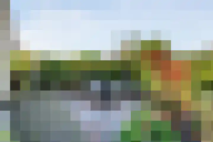 De Spa 38 Slagharen thumbnail 55