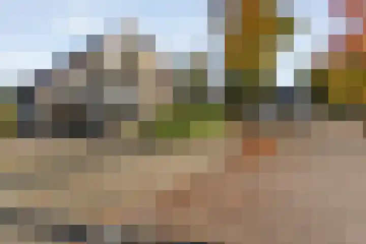 De Spa 38 Slagharen thumbnail 6