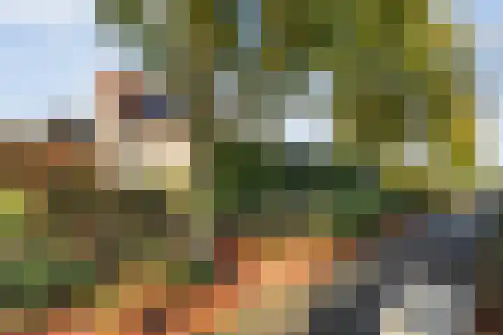 De Spa 38 Slagharen thumbnail 63
