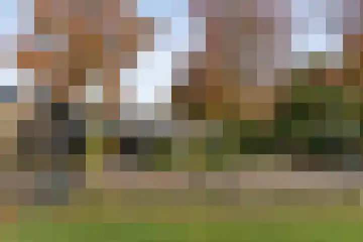 De Spa 38 Slagharen thumbnail 64