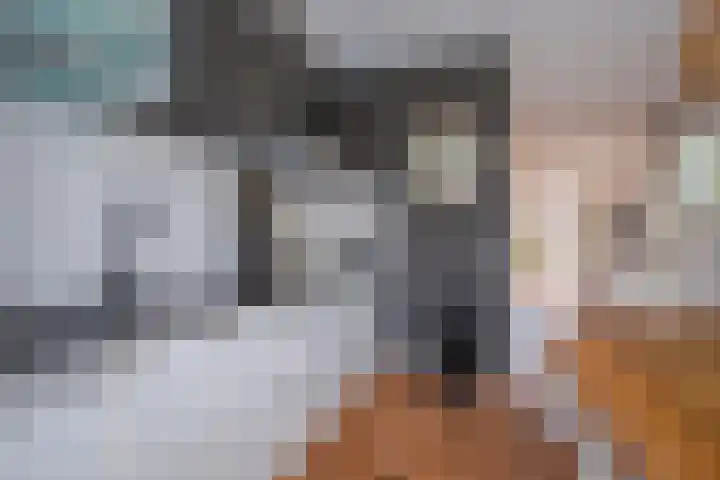 De Spade 10 Arnhem thumbnail 12