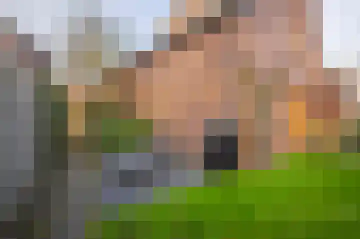 De Spade 10 Arnhem thumbnail 23
