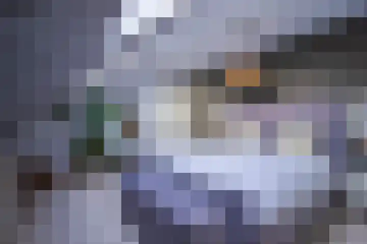 De Spade 10 Arnhem thumbnail 33