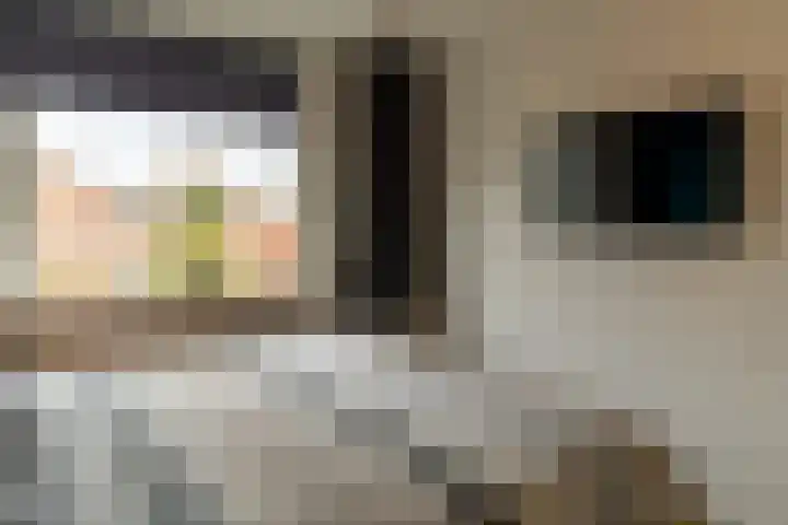 De Spade 10 Arnhem thumbnail 46