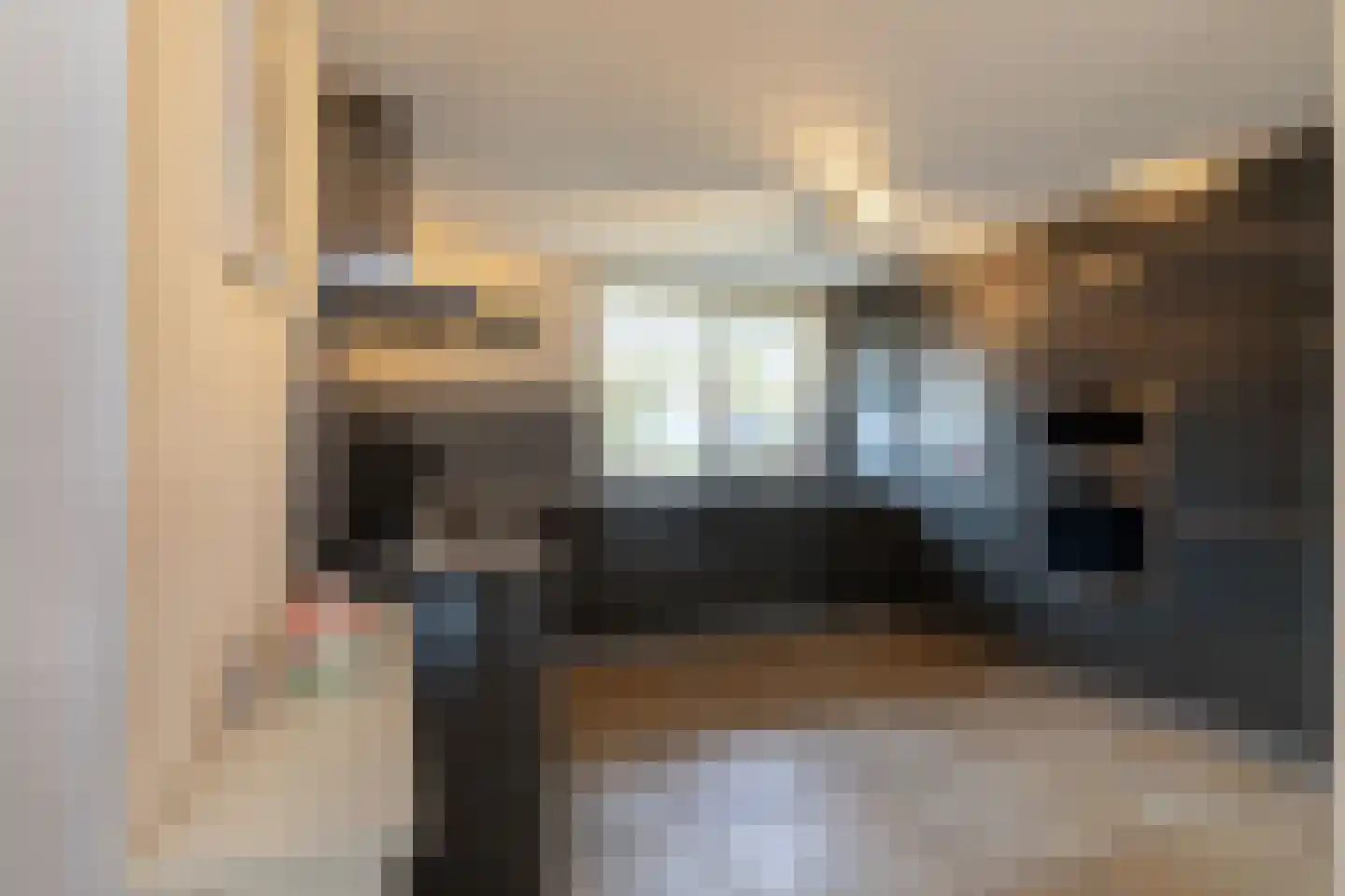 de Spaier 10 Zoutelande thumbnail 13
