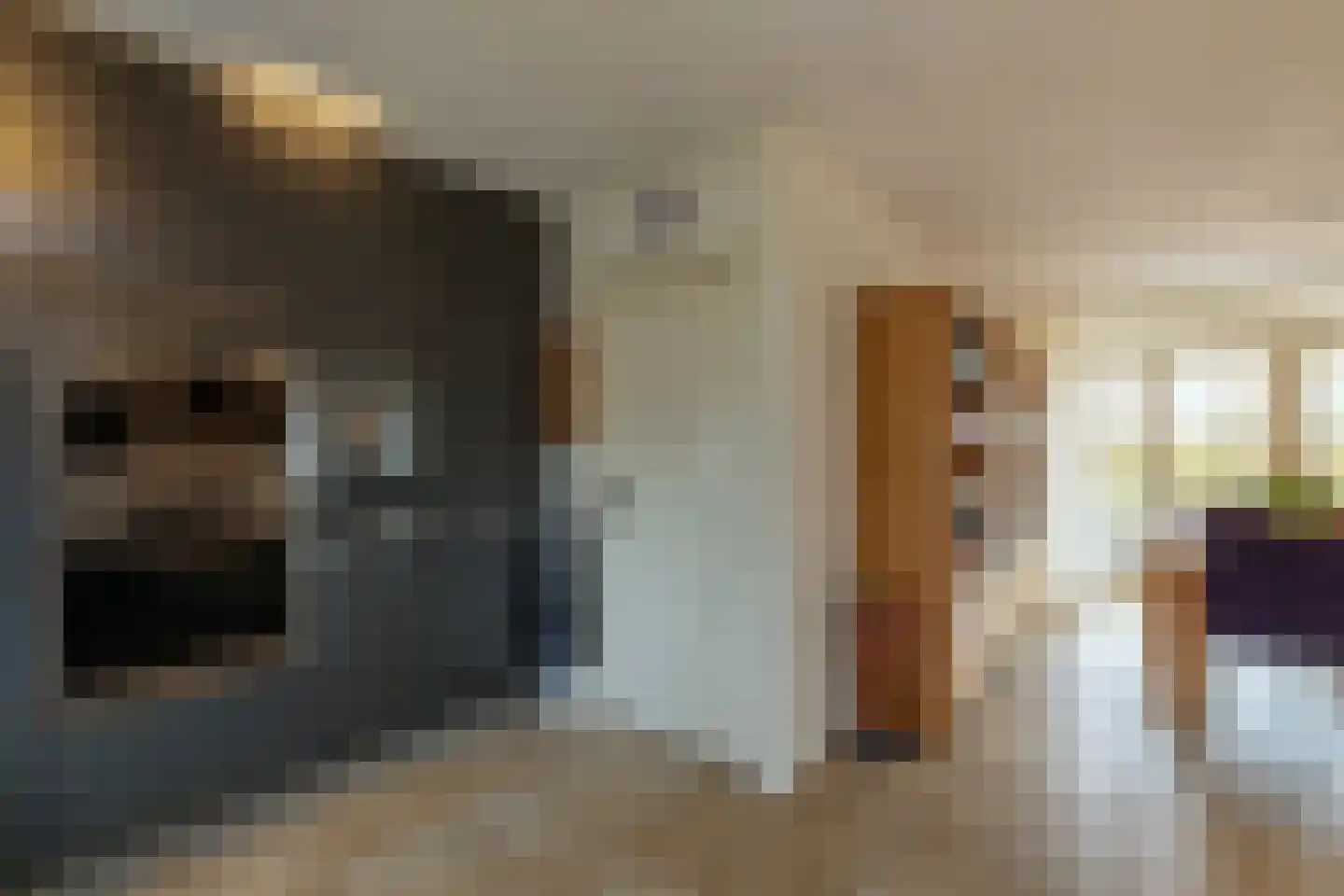 de Spaier 10 Zoutelande thumbnail 16