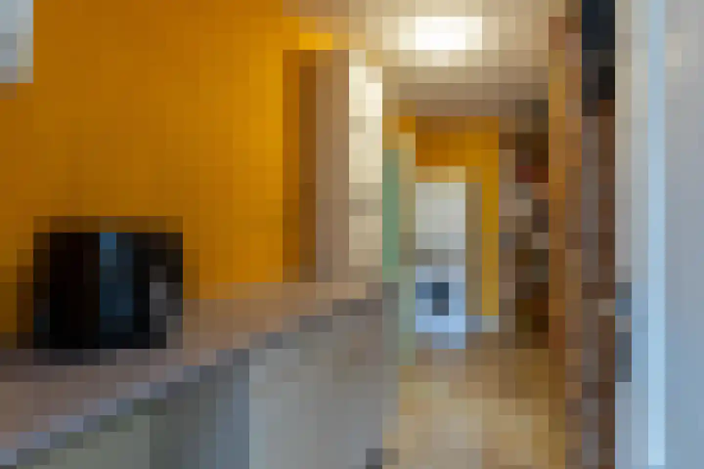 de Spaier 10 Zoutelande thumbnail 17