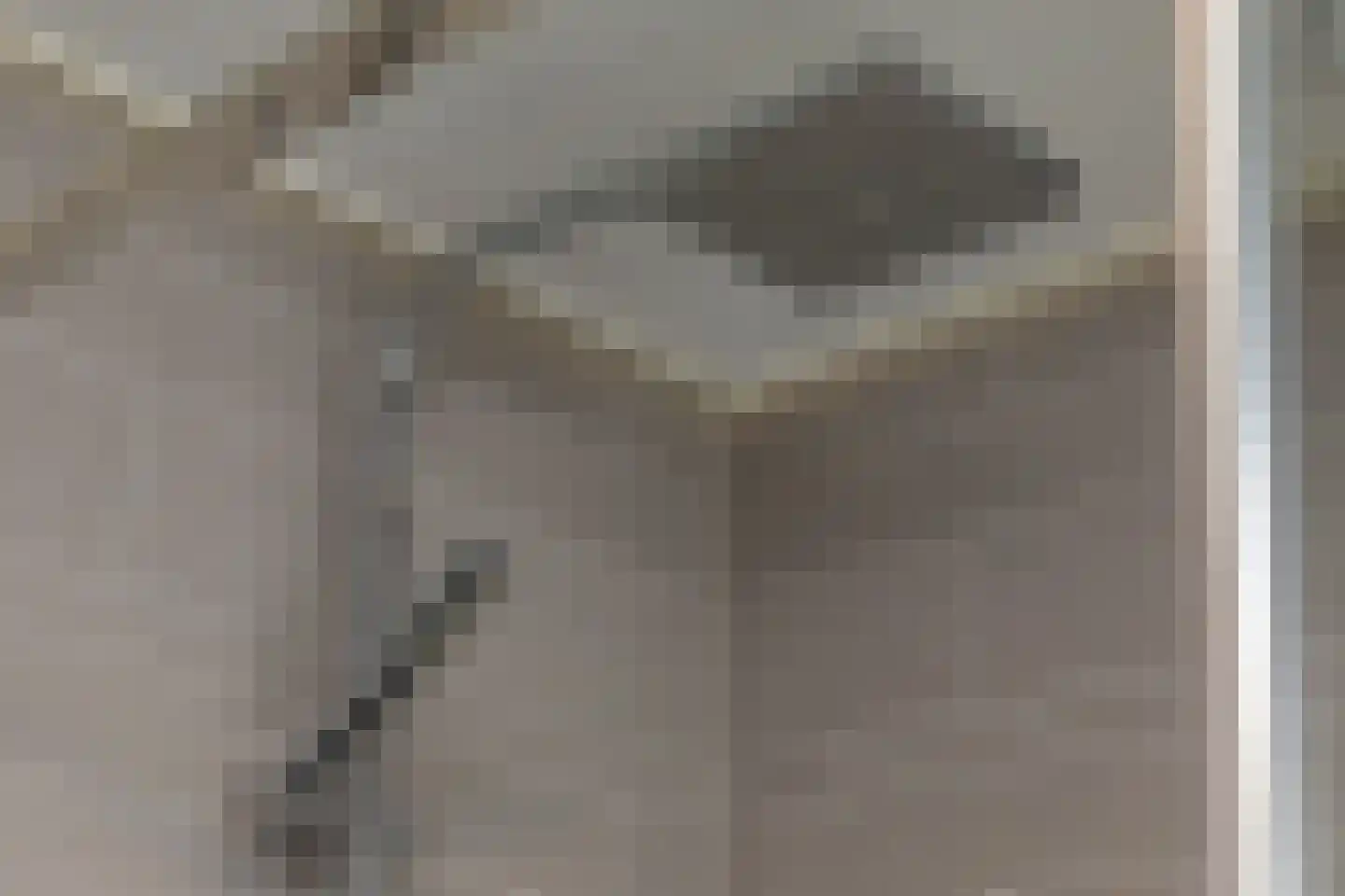 de Spaier 10 Zoutelande thumbnail 30