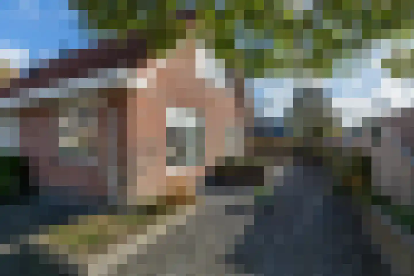 de Spaier 10 Zoutelande thumbnail 39