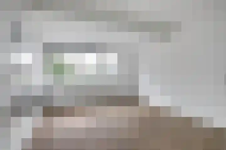 de Spaier 14 Zoutelande thumbnail 17