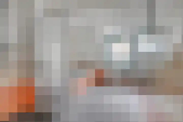 de Spaier 14 Zoutelande thumbnail 19