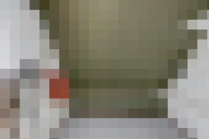 de Spaier 14 Zoutelande thumbnail 23