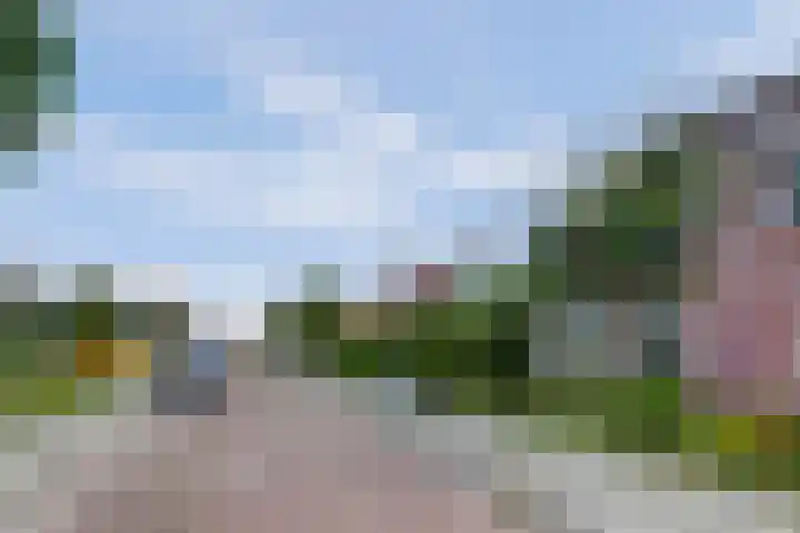 de Spaier 14 Zoutelande thumbnail 25
