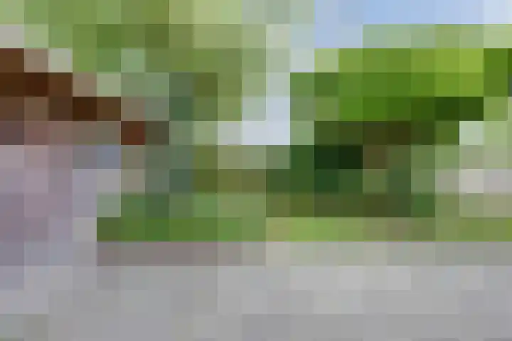 de Spaier 14 Zoutelande thumbnail 27