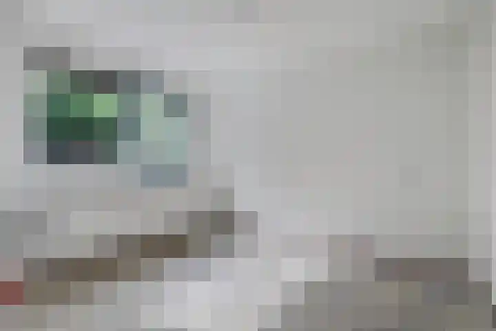 de Spaier 14 Zoutelande thumbnail 9