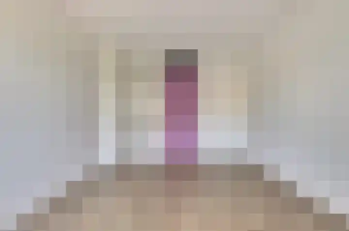 de Spaier 16 Zoutelande thumbnail 15